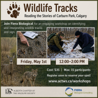 Wildlife Tracks: Reading the Stories of Carburn Park, Calgary