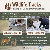 Wildlife Tracks: Reading the Stories of Whitemud Creek