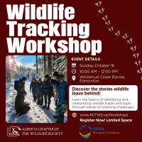 Discovery Wildlife Tracking Workshop