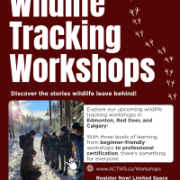Discovery Wildlife Tracking Workshop - Calgary - Jan 22